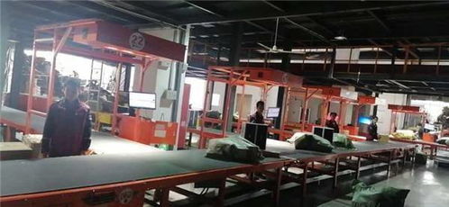 数字化引擎驱动，圆通科技赋能迎战双十一高峰